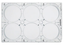 德國(guó)艾本德(Eppendorf)Cell Culture Plates,6-Well,無菌無熱原,無RNase和DNase,無人類和細(xì)菌DNA,無細(xì)胞毒素,未處理,5mL,60塊,獨(dú)立包裝