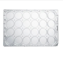 德國(guó)艾本德(Eppendorf)Cell Culture Plates,24-Well,無菌無熱原,無RNase和DNase,無人類和細(xì)菌DNA,無細(xì)胞毒素,未處理,1mL,60塊,獨(dú)立包裝