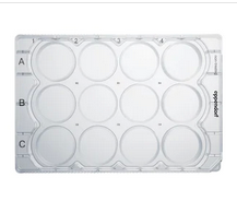 德國(guó)艾本德(Eppendorf)Cell Culture Plates,12-Well,無菌無熱原,無RNase和DNase,無人類和細(xì)菌DNA,無細(xì)胞毒素,未處理,2mL,60塊,獨(dú)立包裝